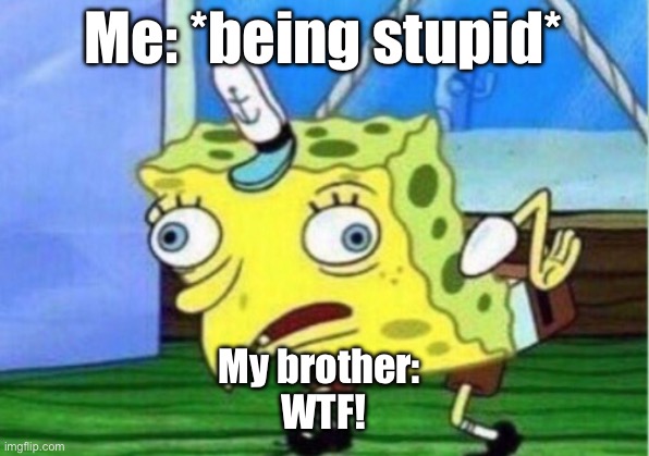 Mocking Spongebob Meme | Me: *being stupid*; My brother: 
WTF! | image tagged in memes,mocking spongebob | made w/ Imgflip meme maker