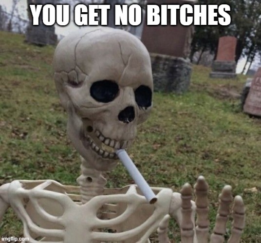 Skelle speaks the truth | YOU GET NO BITCHES | image tagged in skeletons | made w/ Imgflip meme maker