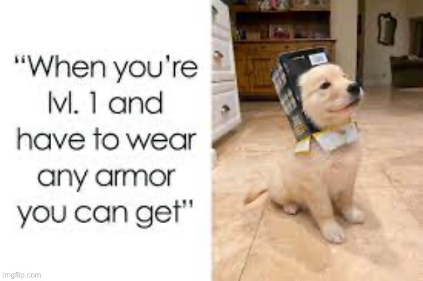 This is so true | image tagged in doge | made w/ Imgflip meme maker