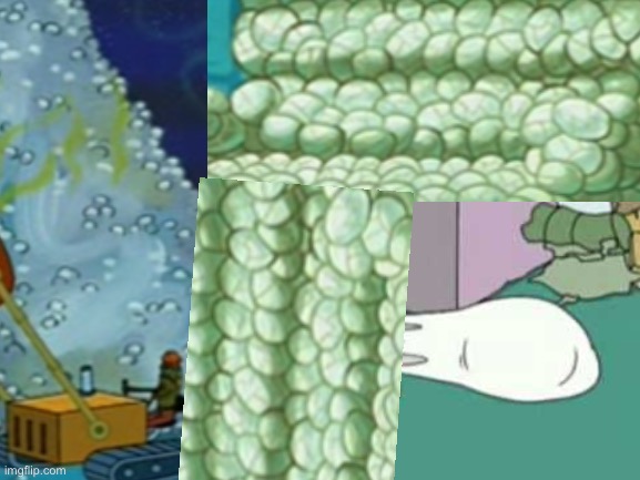 Spongebob shows Patrick Garbage - Imgflip