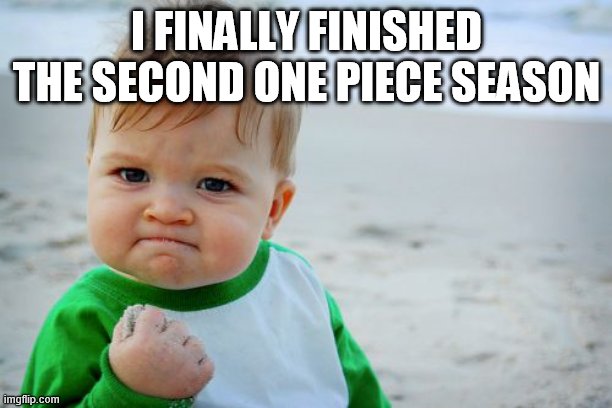 yesss | I FINALLY FINISHED THE SECOND ONE PIECE SEASON | image tagged in memes,success kid original,onepiece | made w/ Imgflip meme maker