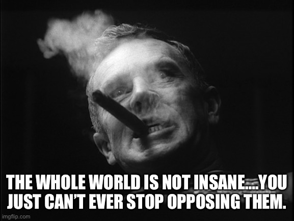 General Ripper (Dr. Strangelove) | THE WHOLE WORLD IS NOT INSANE….YOU JUST CAN’T EVER STOP OPPOSING THEM. | image tagged in general ripper dr strangelove | made w/ Imgflip meme maker