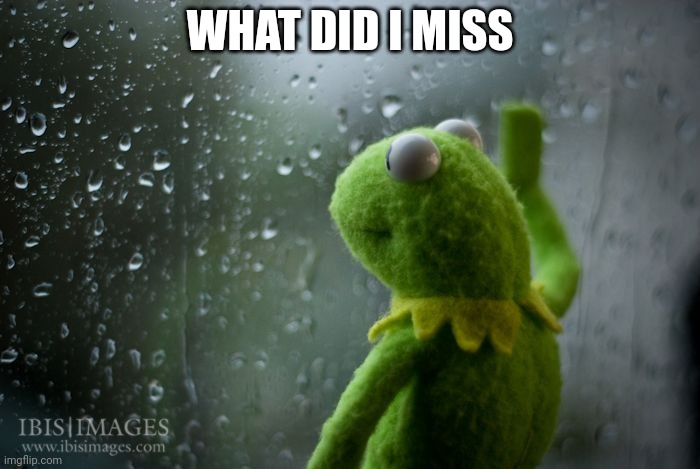 kermit window | WHAT DID I MISS | image tagged in kermit window | made w/ Imgflip meme maker