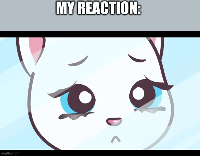 Me when JUSTACHEEMSDOGE leave imgflip | MY REACTION: | image tagged in depressed angela | made w/ Imgflip meme maker
