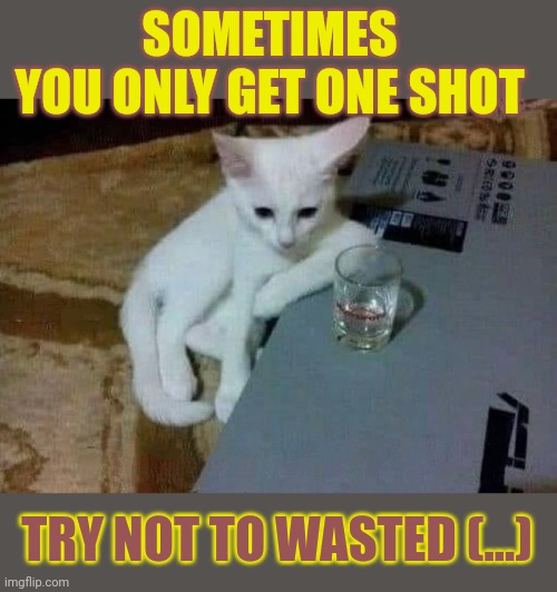 This #lolcat wonders why people won't grab opportunities | SOMETIMES 
YOU ONLY GET ONE SHOT; TRY NOT TO WASTED (...) | image tagged in opportunity,lolcat,think about it,inspirational quote | made w/ Imgflip meme maker