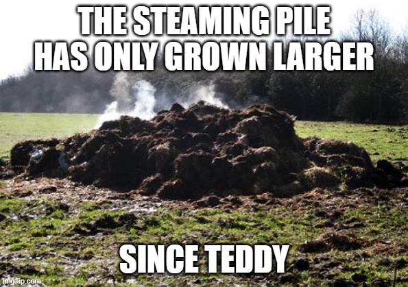 Steaming pile of shit | THE STEAMING PILE HAS ONLY GROWN LARGER SINCE TEDDY | image tagged in steaming pile of shit | made w/ Imgflip meme maker