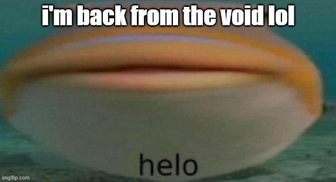 helo | i'm back from the void lol | image tagged in helo | made w/ Imgflip meme maker