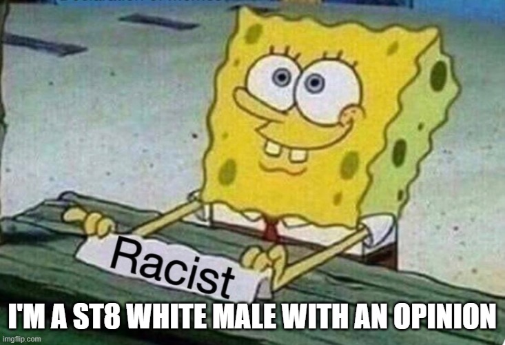 SWM | I'M A ST8 WHITE MALE WITH AN OPINION | image tagged in straight,white,male,white man,racist,fascist | made w/ Imgflip meme maker