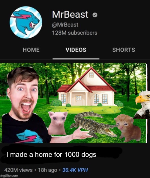 MrBreast, those aren’t dogs | I made a home for 1000 dogs | image tagged in mrbeast thumbnail template | made w/ Imgflip meme maker