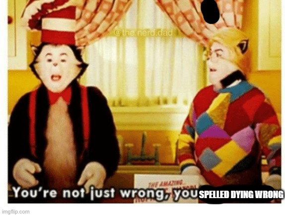 You're not just wrong your stupid | SPELLED DYING WRONG | image tagged in you're not just wrong your stupid | made w/ Imgflip meme maker