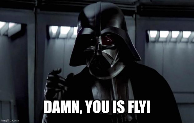 Darth Vader | DAMN, YOU IS FLY! | image tagged in darth vader | made w/ Imgflip meme maker