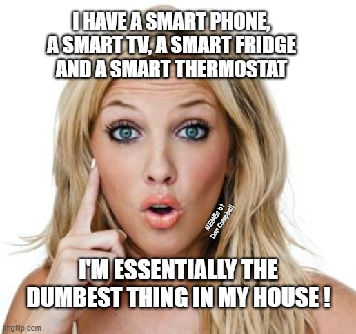 Dumb blonde | I HAVE A SMART PHONE, A SMART TV, A SMART FRIDGE
AND A SMART THERMOSTAT; MEMEs bt Dan Campbell; I'M ESSENTIALLY THE DUMBEST THING IN MY HOUSE ! | image tagged in dumb blonde | made w/ Imgflip meme maker