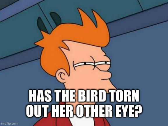 Futurama Fry Meme | HAS THE BIRD TORN OUT HER OTHER EYE? | image tagged in memes,futurama fry | made w/ Imgflip meme maker