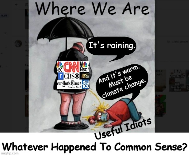 The Media pees on people and says it's raining 'climate change'.... | Where We Are; It's raining. And it's warm.
Must be 
climate change. Useful Idiots; Whatever Happened To Common Sense? | image tagged in politics,political humor,biased media,lies,climate change,agenda | made w/ Imgflip meme maker