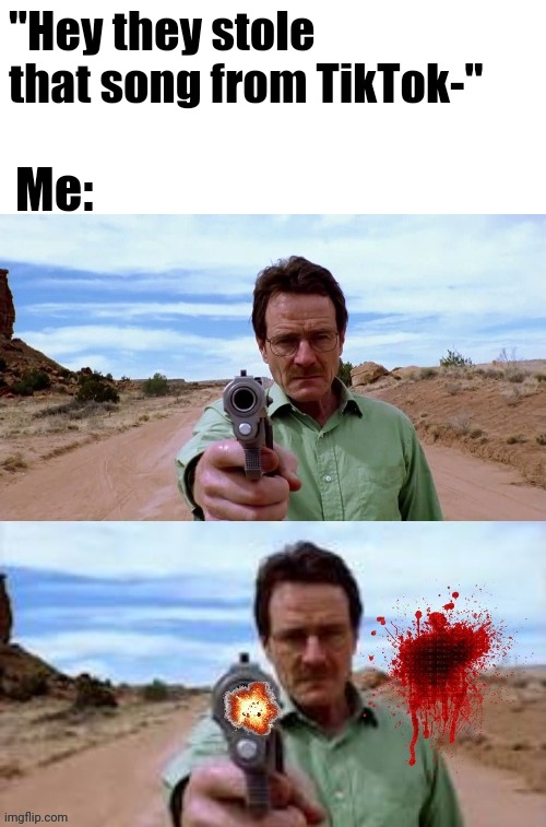 a | "Hey they stole that song from TikTok-"; Me: | image tagged in walter white shooting gun,memes,funny,tiktok,tiktok sucks,walter white | made w/ Imgflip meme maker