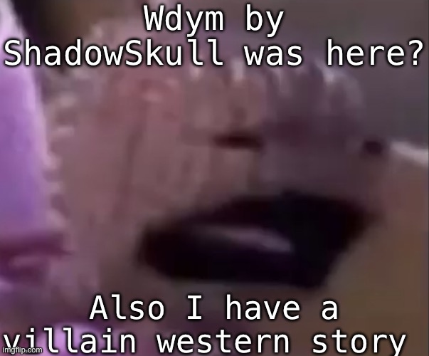 Sackboy | Wdym by ShadowSkull was here? Also I have a villain western story | image tagged in sackboy | made w/ Imgflip meme maker