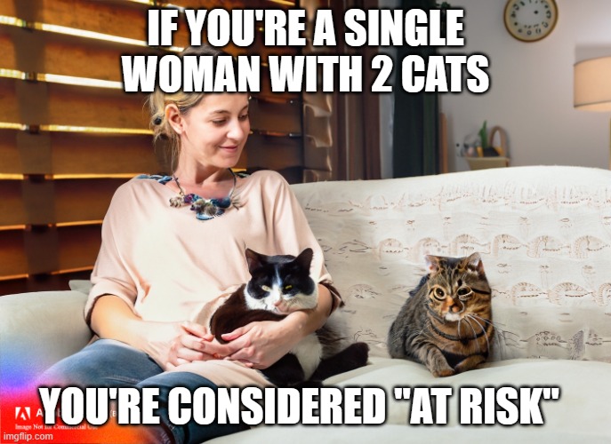 Crazy Cat Lady Starter Kit | IF YOU'RE A SINGLE WOMAN WITH 2 CATS; YOU'RE CONSIDERED "AT RISK" | image tagged in crazy cat lady starter kit | made w/ Imgflip meme maker
