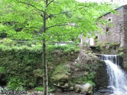 The Falls from the Path | image tagged in gifs | made w/ Imgflip video-to-gif maker