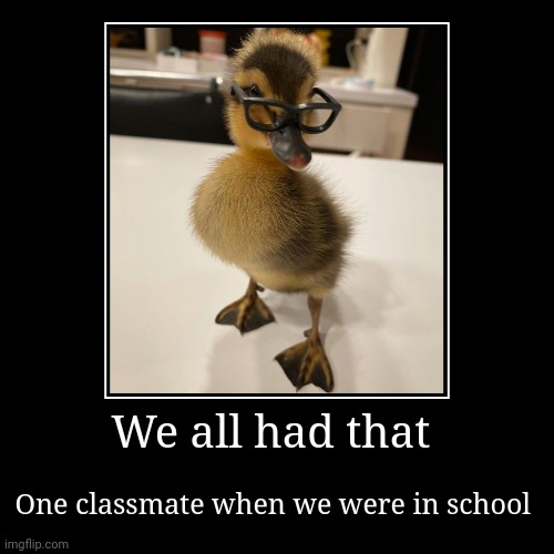 We all had that one classmate | We all had that | One classmate when we were in school | image tagged in funny,demotivationals | made w/ Imgflip demotivational maker