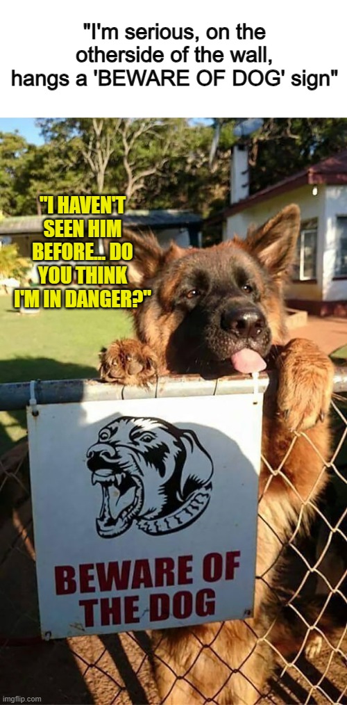 Surely, the "dangerous dog" couldn't be him ;) | "I'm serious, on the otherside of the wall, hangs a 'BEWARE OF DOG' sign"; "I HAVEN'T SEEN HIM BEFORE... DO YOU THINK I'M IN DANGER?" | made w/ Imgflip meme maker