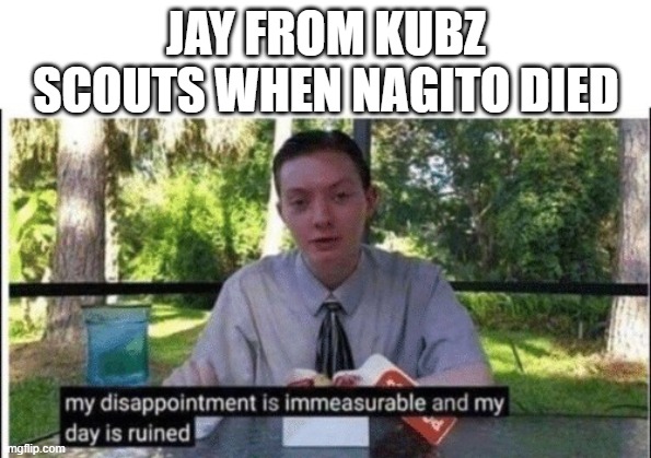 Couldn't show the body discovery because I would lose my sanity censoring the gore ;-; | JAY FROM KUBZ SCOUTS WHEN NAGITO DIED | image tagged in my dissapointment is immeasurable and my day is ruined,danganronpa,jay | made w/ Imgflip meme maker
