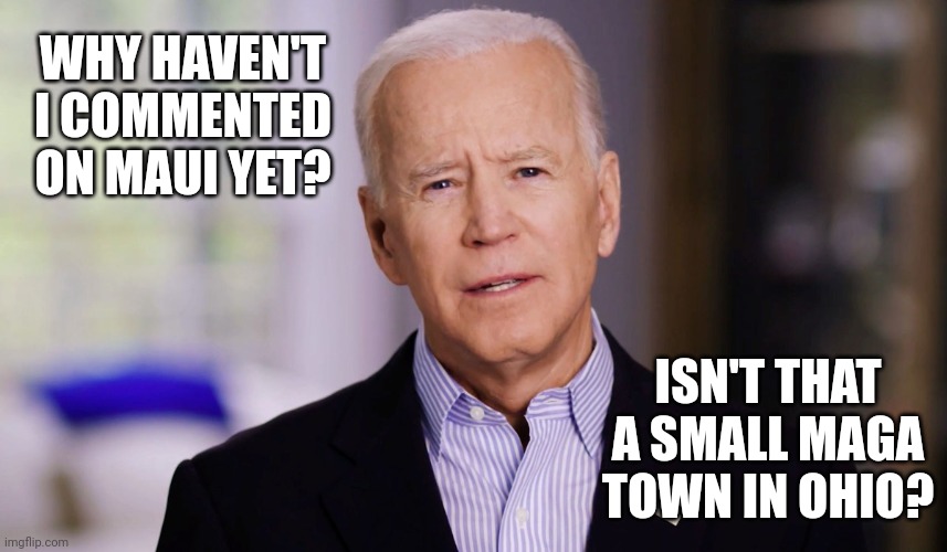Joe Biden 2020 | WHY HAVEN'T I COMMENTED ON MAUI YET? ISN'T THAT A SMALL MAGA TOWN IN OHIO? | image tagged in joe biden 2020 | made w/ Imgflip meme maker