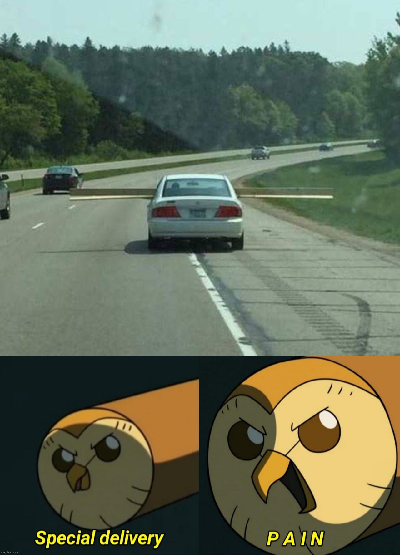 image tagged in special delivery pain,you had one job | made w/ Imgflip meme maker