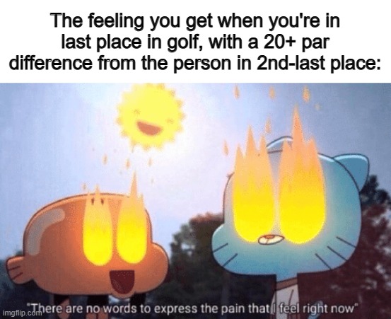 DX | The feeling you get when you're in last place in golf, with a 20+ par difference from the person in 2nd-last place: | image tagged in there are no words to express the pain that i feel right now | made w/ Imgflip meme maker