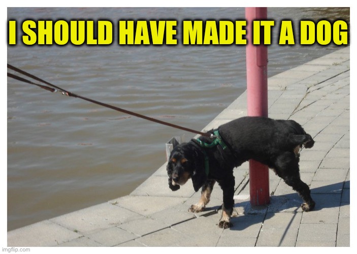 Dog peeing | I SHOULD HAVE MADE IT A DOG | image tagged in dog peeing | made w/ Imgflip meme maker