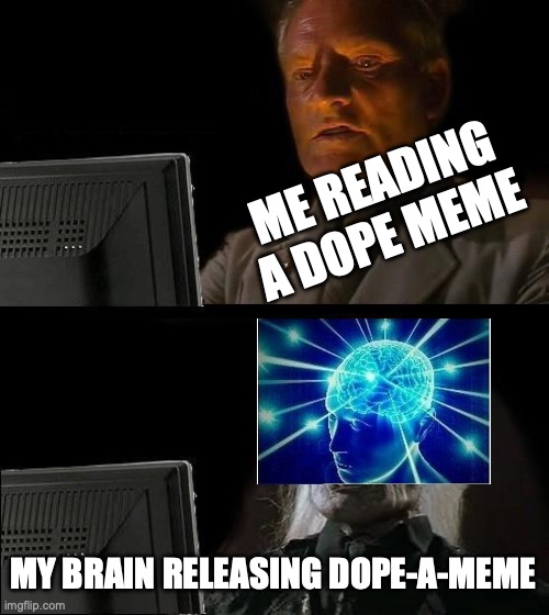 Wtf? | ME READING A DOPE MEME; MY BRAIN RELEASING DOPE-A-MEME | image tagged in memes,i'll just wait here,wtf,dopamine,funny,brain | made w/ Imgflip meme maker