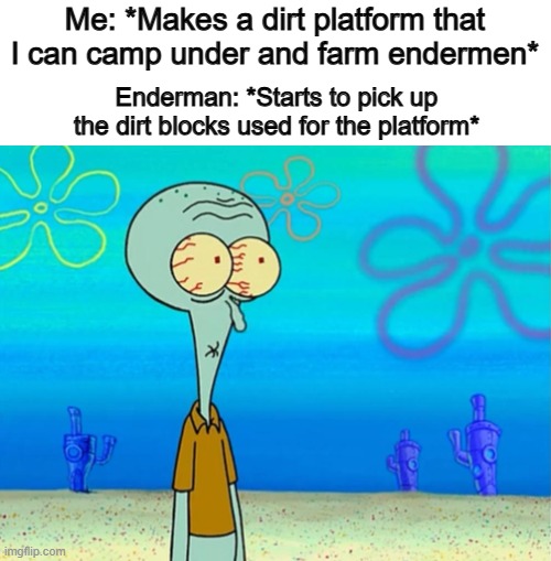 ... | Me: *Makes a dirt platform that I can camp under and farm endermen*; Enderman: *Starts to pick up the dirt blocks used for the platform* | image tagged in scared squidward | made w/ Imgflip meme maker