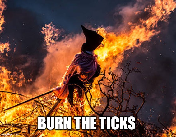 BURN THE TICKS | made w/ Imgflip meme maker