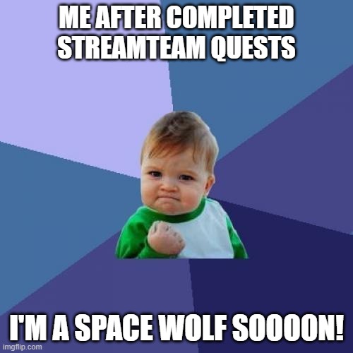 StreamTeam Space Wolf sooon! | ME AFTER COMPLETED STREAMTEAM QUESTS; I'M A SPACE WOLF SOOOON! | image tagged in memes,success kid | made w/ Imgflip meme maker