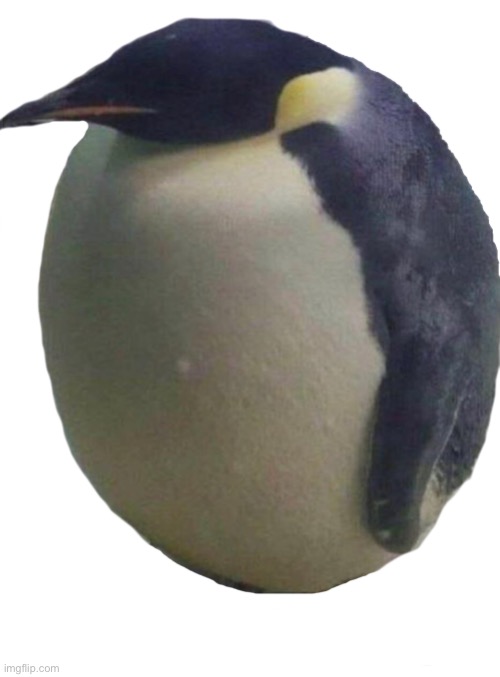 pingu let himself go | image tagged in pingu let himself go | made w/ Imgflip meme maker