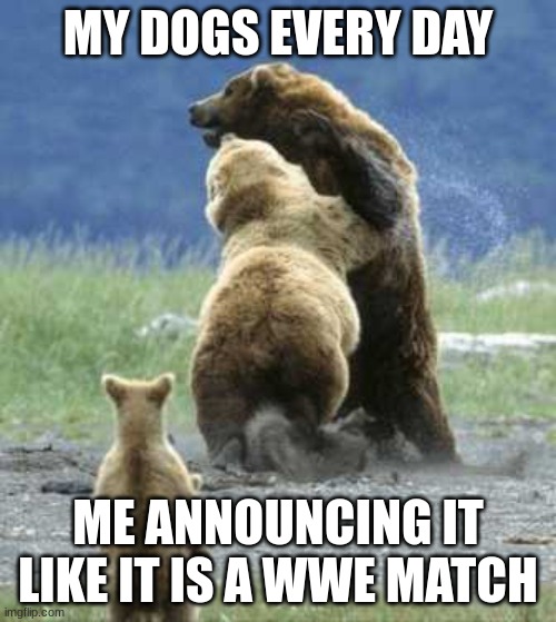 who can relate | MY DOGS EVERY DAY; ME ANNOUNCING IT LIKE IT IS A WWE MATCH | image tagged in bears fighting | made w/ Imgflip meme maker