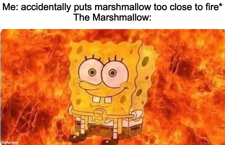 Tis is thy trueth | Me: accidentally puts marshmallow too close to fire*
The Marshmallow: | image tagged in spongebob in flames | made w/ Imgflip meme maker