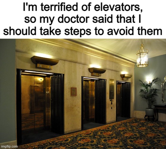 ... | I'm terrified of elevators, so my doctor said that I should take steps to avoid them | made w/ Imgflip meme maker