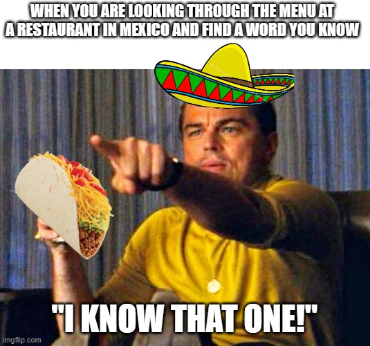 1/4 mexican in me | WHEN YOU ARE LOOKING THROUGH THE MENU AT A RESTAURANT IN MEXICO AND FIND A WORD YOU KNOW; "I KNOW THAT ONE!" | image tagged in leonardo dicaprio pointing at tv | made w/ Imgflip meme maker