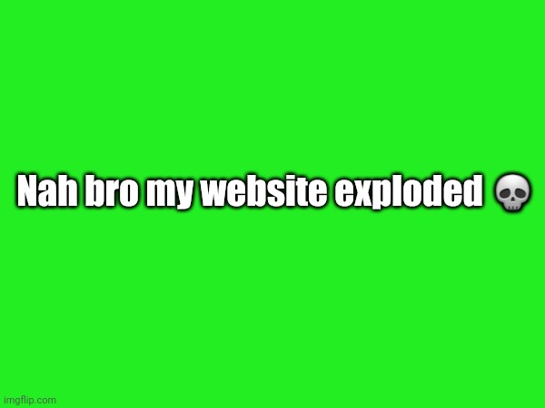 Lol | Nah bro my website exploded 💀 | image tagged in freechat | made w/ Imgflip meme maker