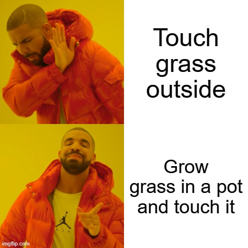 Drake Hotline Bling | Touch grass outside; Grow grass in a pot and touch it | image tagged in memes,drake hotline bling | made w/ Imgflip meme maker