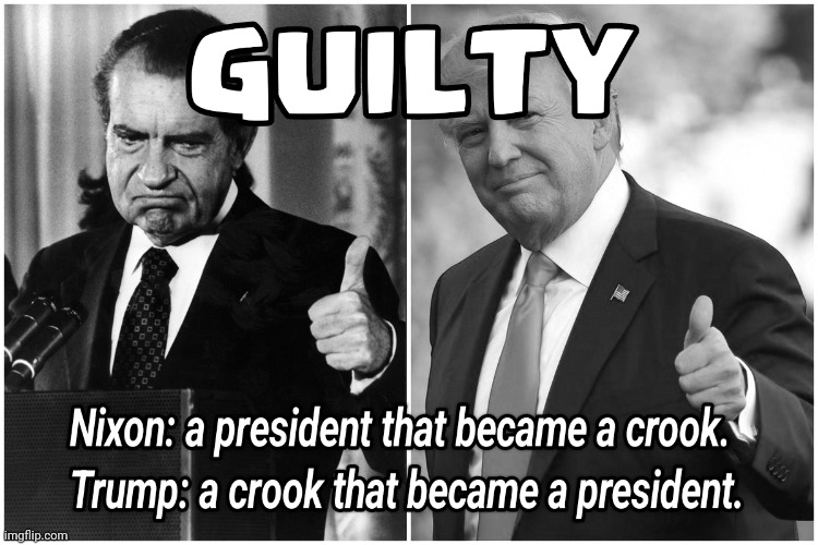 Trump/Nixon | image tagged in crook,criminal,dumptrump,justice | made w/ Imgflip meme maker
