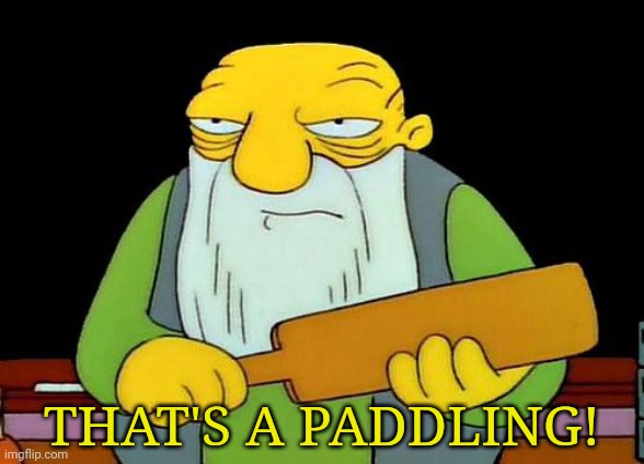 That's a paddlin' Meme | THAT'S A PADDLING! | image tagged in memes,that's a paddlin' | made w/ Imgflip meme maker