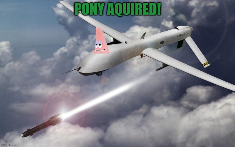drone strikes | PONY AQUIRED! | image tagged in drone strikes | made w/ Imgflip meme maker