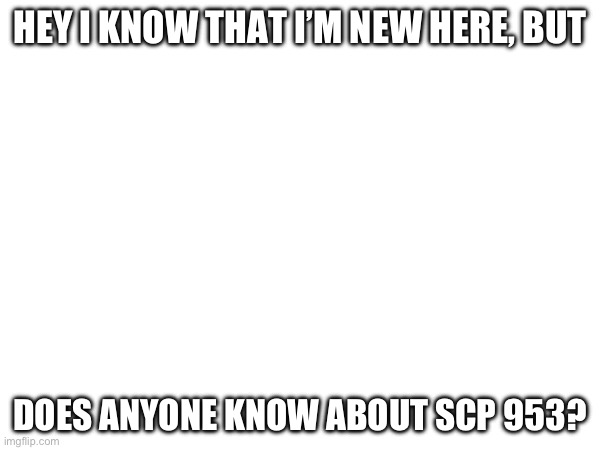 HEY I KNOW THAT I’M NEW HERE, BUT; DOES ANYONE KNOW ABOUT SCP 953? | made w/ Imgflip meme maker