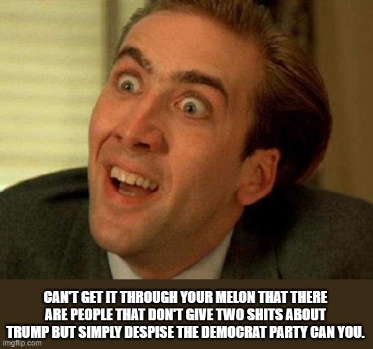 Nicolas cage | CAN'T GET IT THROUGH YOUR MELON THAT THERE ARE PEOPLE THAT DON'T GIVE TWO SHITS ABOUT TRUMP BUT SIMPLY DESPISE THE DEMOCRAT PARTY CAN YOU. | image tagged in nicolas cage | made w/ Imgflip meme maker