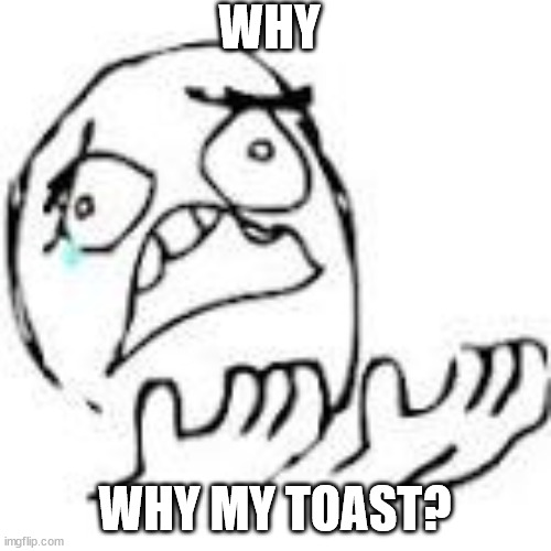 But Why | WHY WHY MY TOAST? | image tagged in but why | made w/ Imgflip meme maker