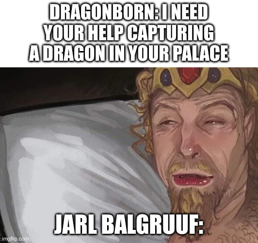 I said what I said | DRAGONBORN: I NEED YOUR HELP CAPTURING A DRAGON IN YOUR PALACE; JARL BALGRUUF: | image tagged in jarl balgruuf waking up,memes,skyrim meme | made w/ Imgflip meme maker