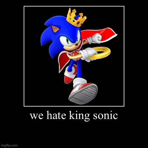 we hate king sonic | | image tagged in funny,demotivationals | made w/ Imgflip demotivational maker