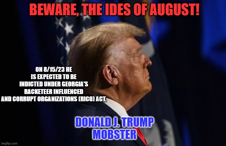 Shakespeare's "Timon of Athens," is the closest riches to rags story, to his tragedy. | BEWARE, THE IDES OF AUGUST! ON 8/15/23 HE IS EXPECTED TO BE INDICTED UNDER GEORGIA'S RACKETEER INFLUENCED AND CORRUPT ORGANIZATIONS (RICO) ACT. DONALD J. TRUMP
MOBSTER | image tagged in politics | made w/ Imgflip meme maker