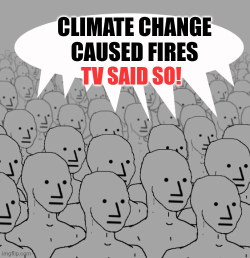 npc-crowd | CLIMATE CHANGE CAUSED FIRES TV SAID SO! | image tagged in npc-crowd | made w/ Imgflip meme maker
